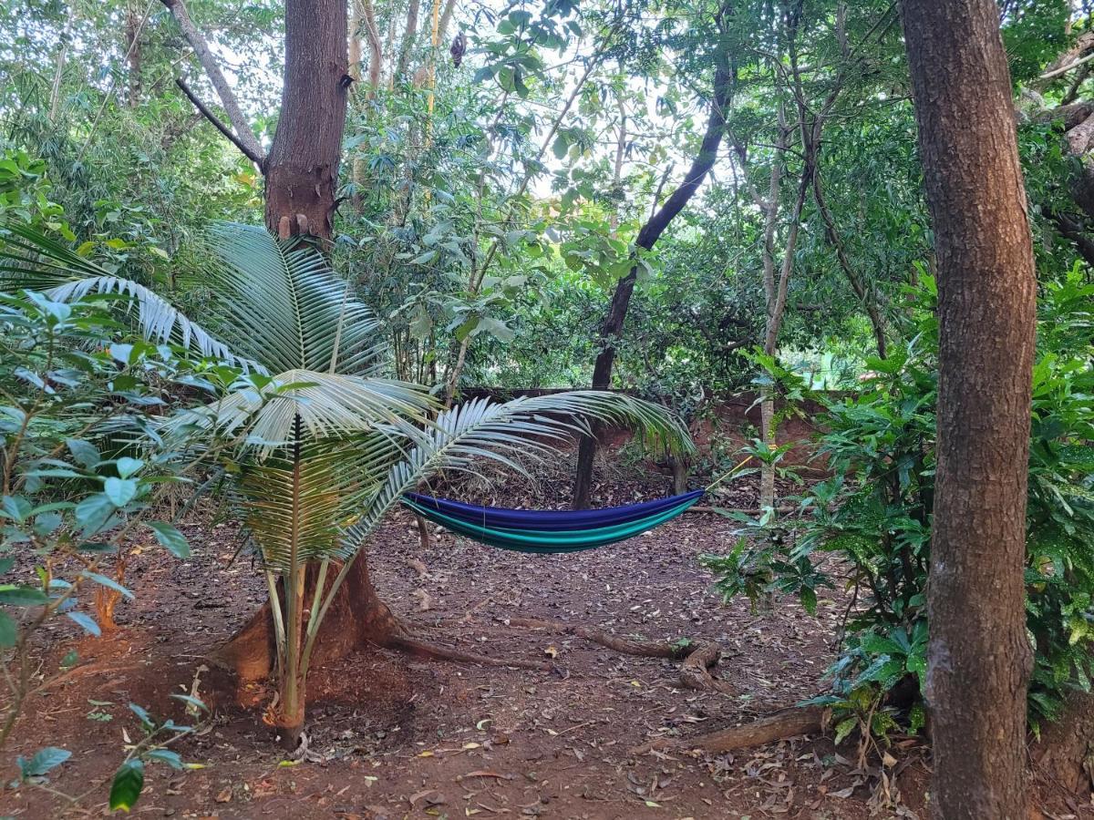 Sunny'S Paradise Gokarna (Karnataka) Kültér fotó