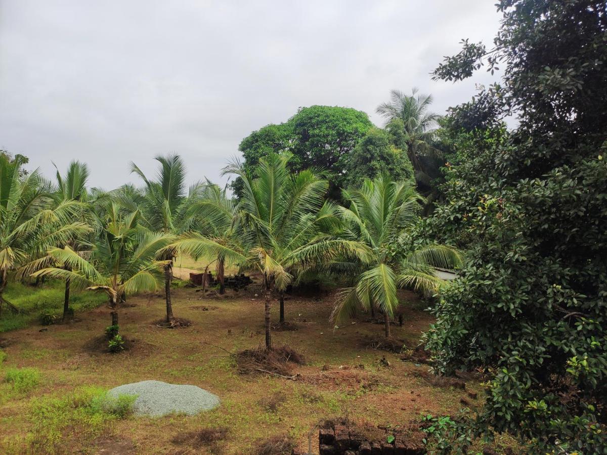 Sunny'S Paradise Gokarna (Karnataka) Szoba fotó